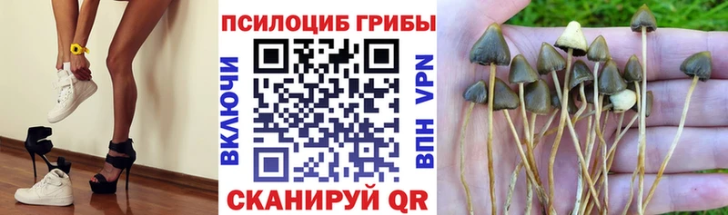 Галлюциногенные грибы Magic Shrooms  Купить закладки  Нижневартовск 